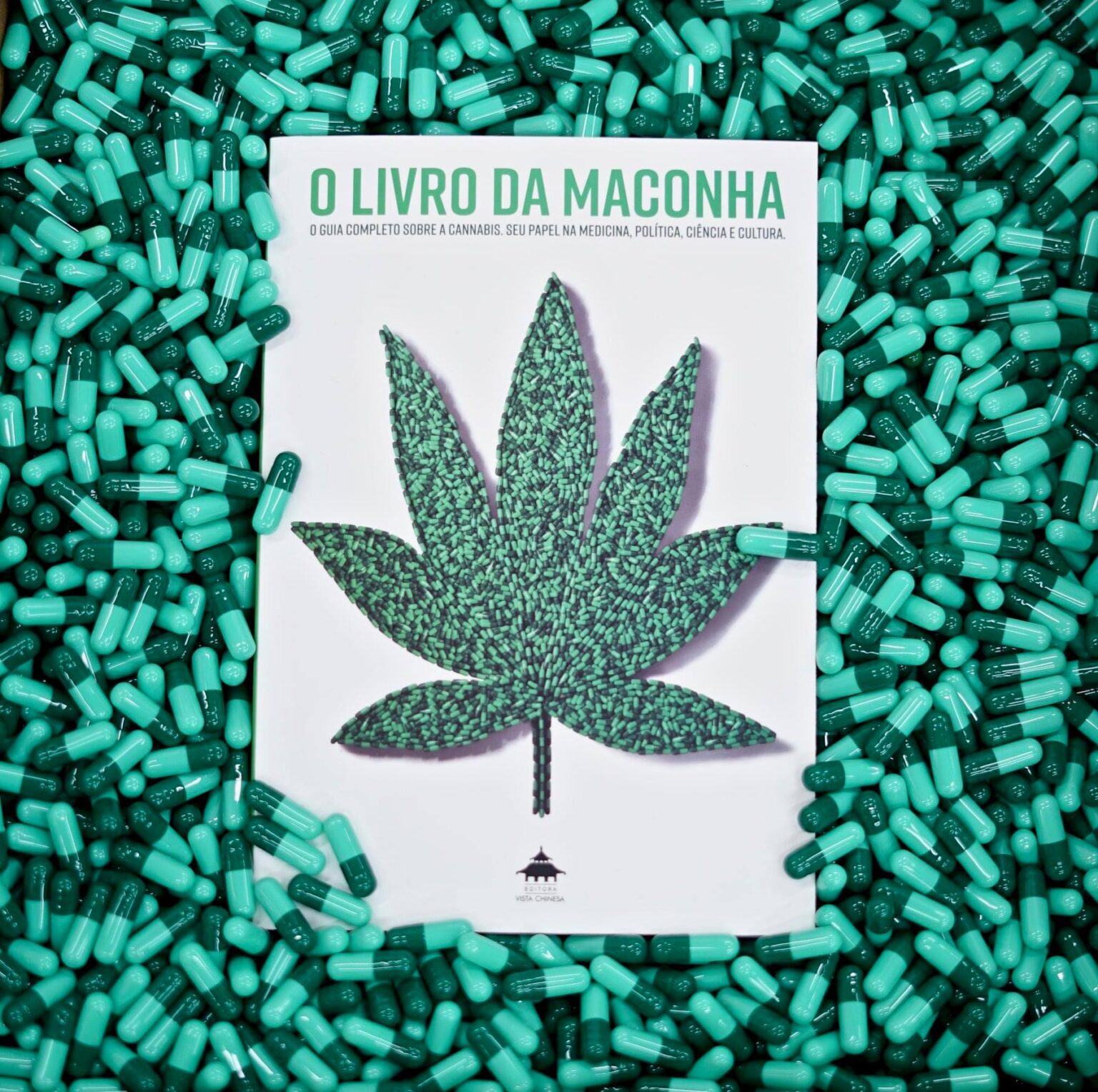 Cannabis Medicinal No Combate à Dor Crônica Terracannabis 4904